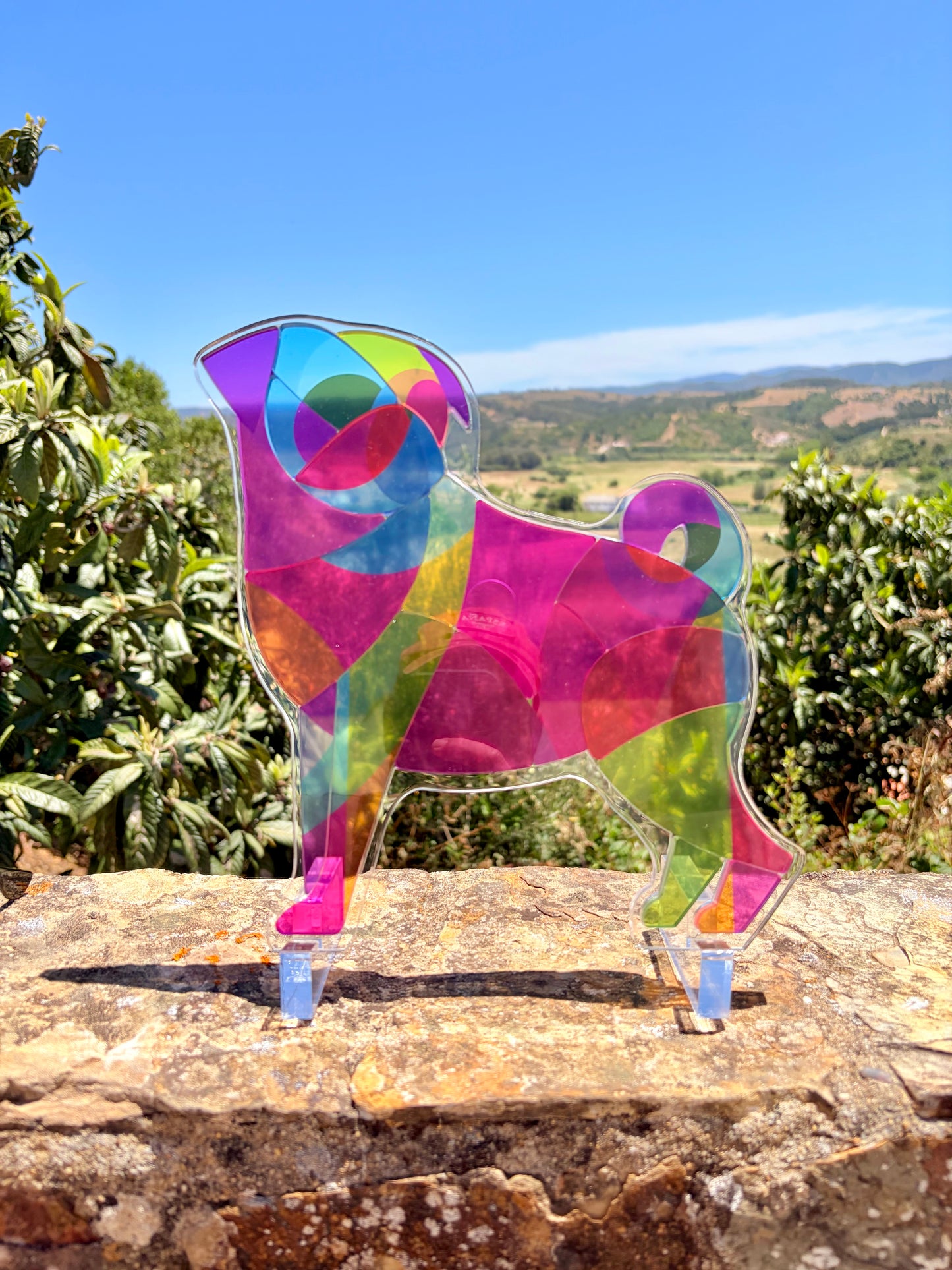 Yon's Translucent Animals Puzzles
