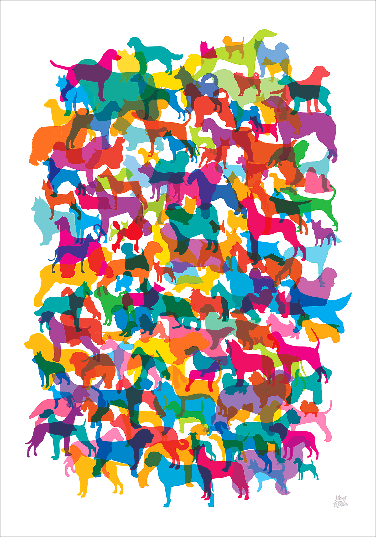 Shapes of Dogs