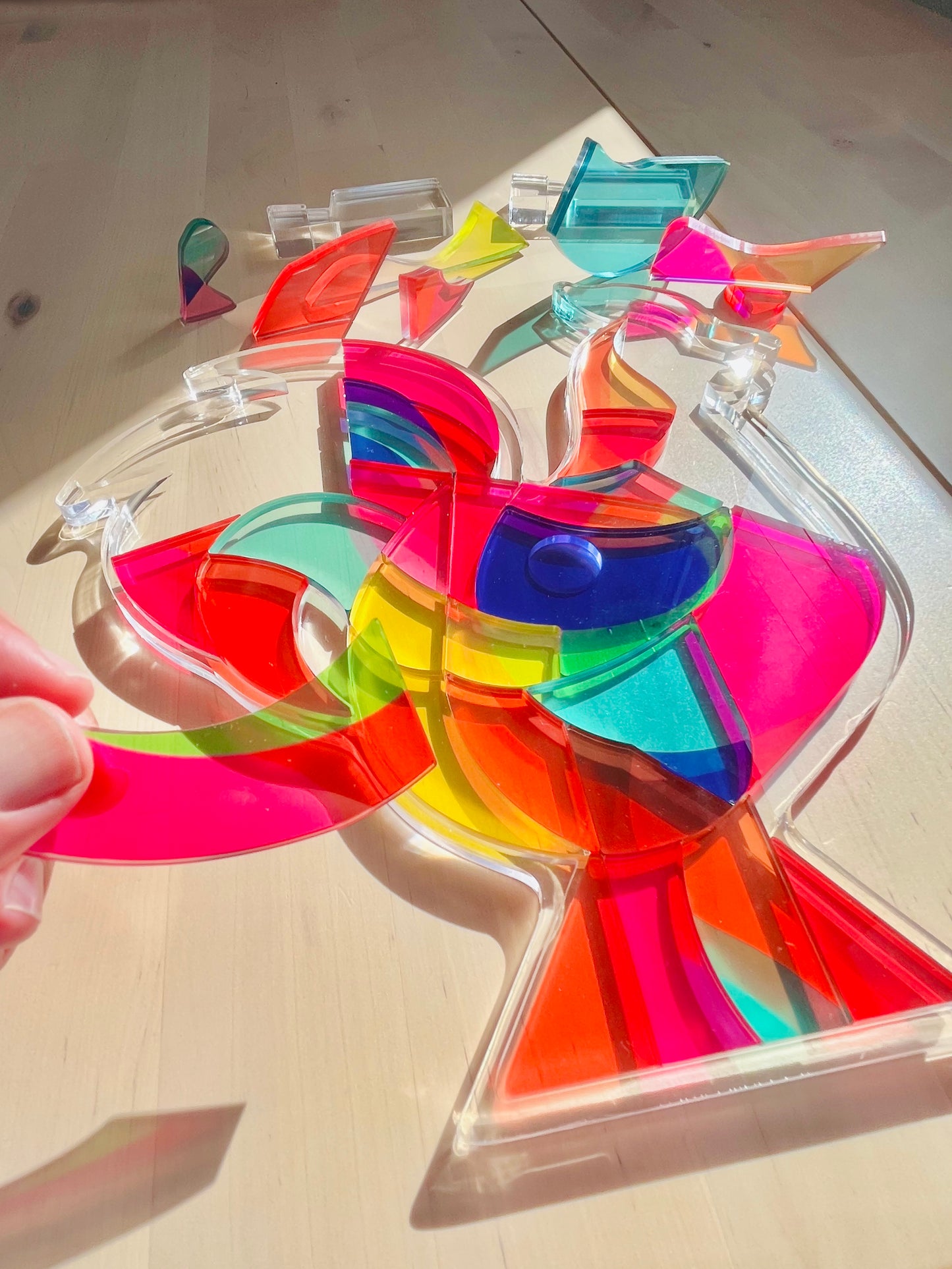 Yon's Translucent Animals Puzzles