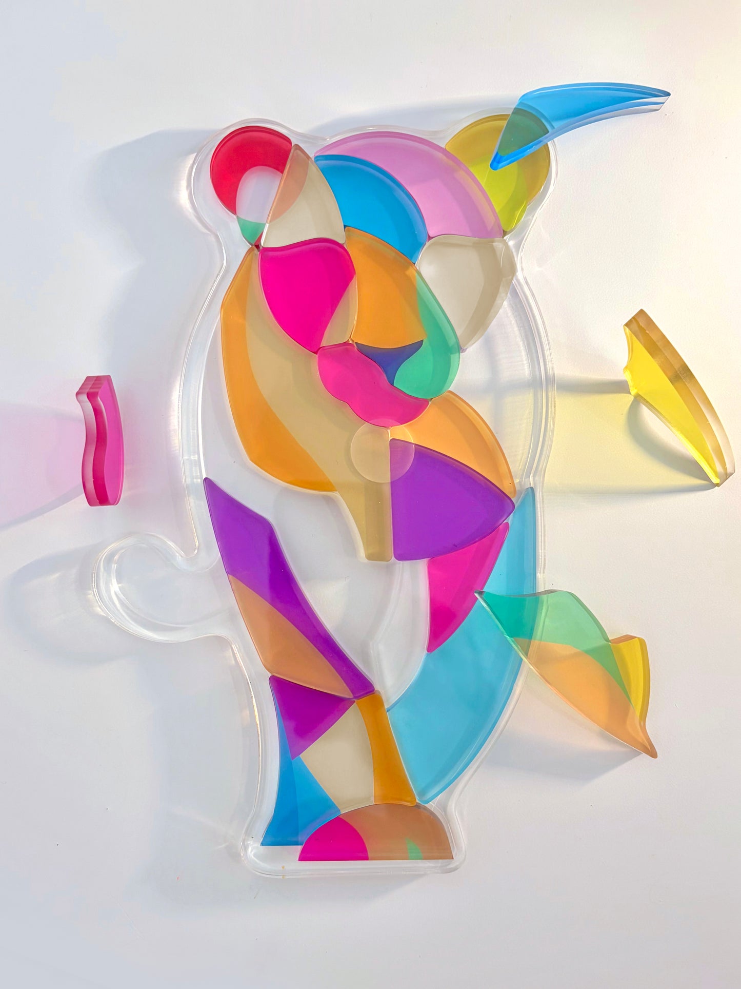 Yon's Translucent Animals Puzzles