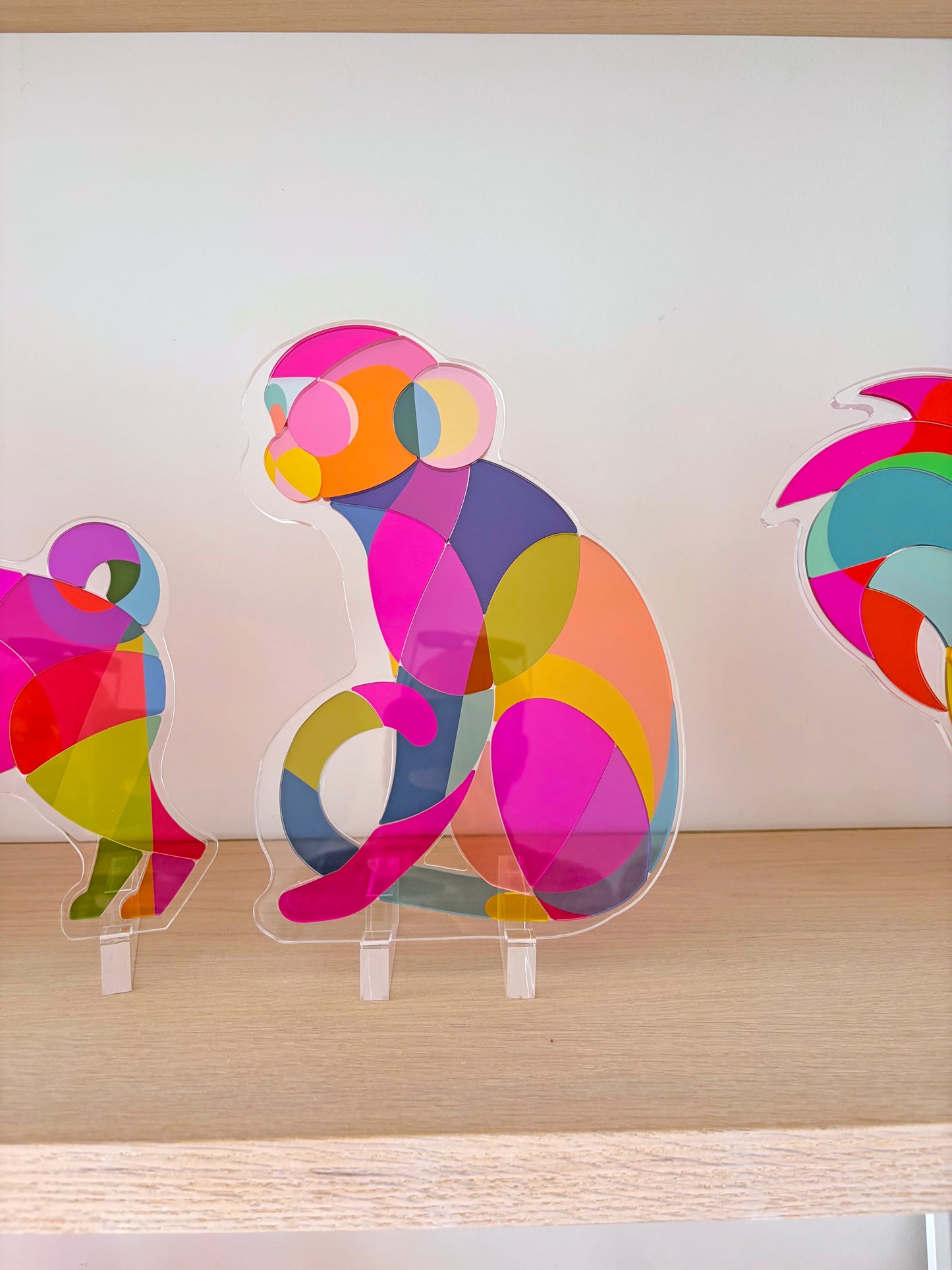 Yon's Translucent Animals Puzzles