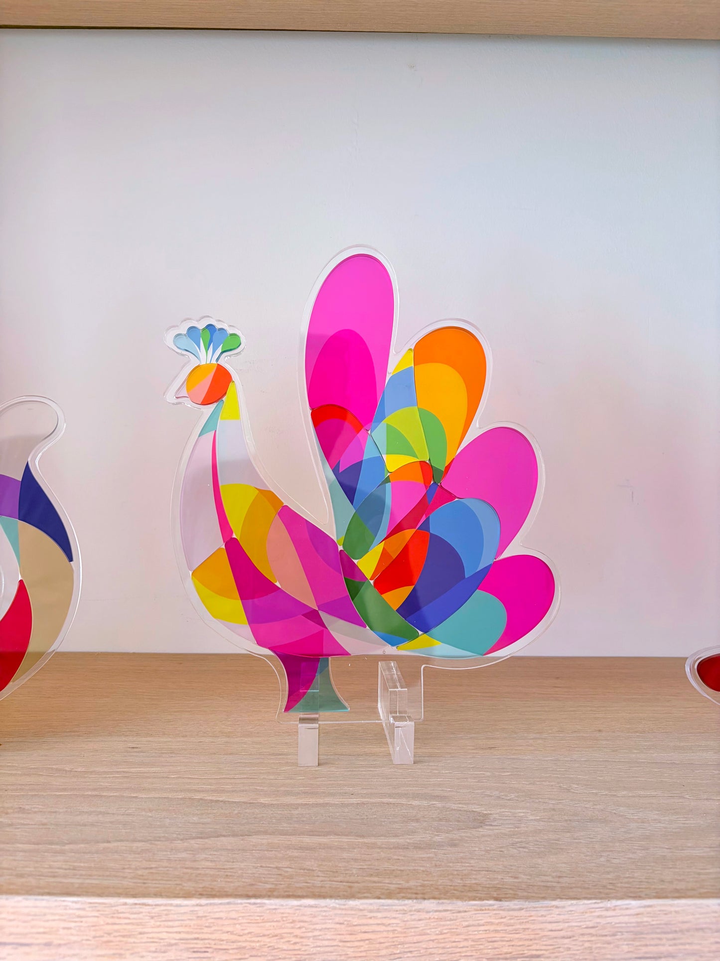 Yon's Translucent Animals Puzzles
