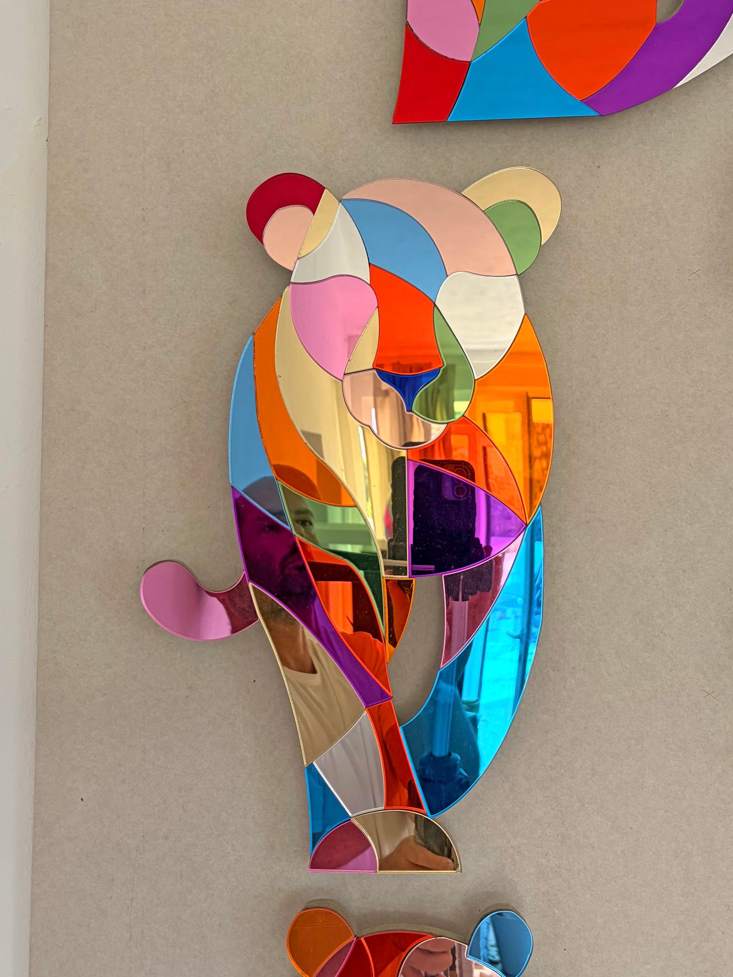 Animals mirrors
