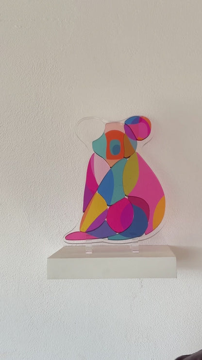 Yon's Translucent Animals Puzzles