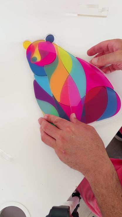 Yon's Translucent Animals Puzzles