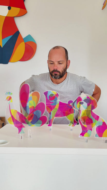 Yon's Translucent Animals Puzzles