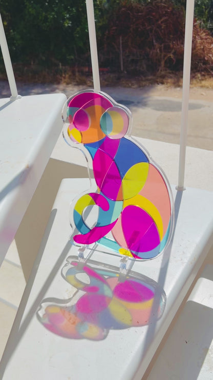 Yon's Translucent Animals Puzzles