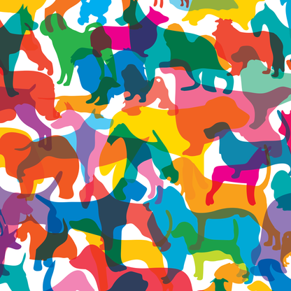 Shapes of Dogs