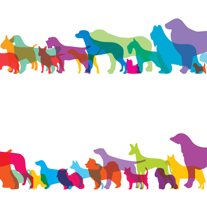 Shapes of Dogs